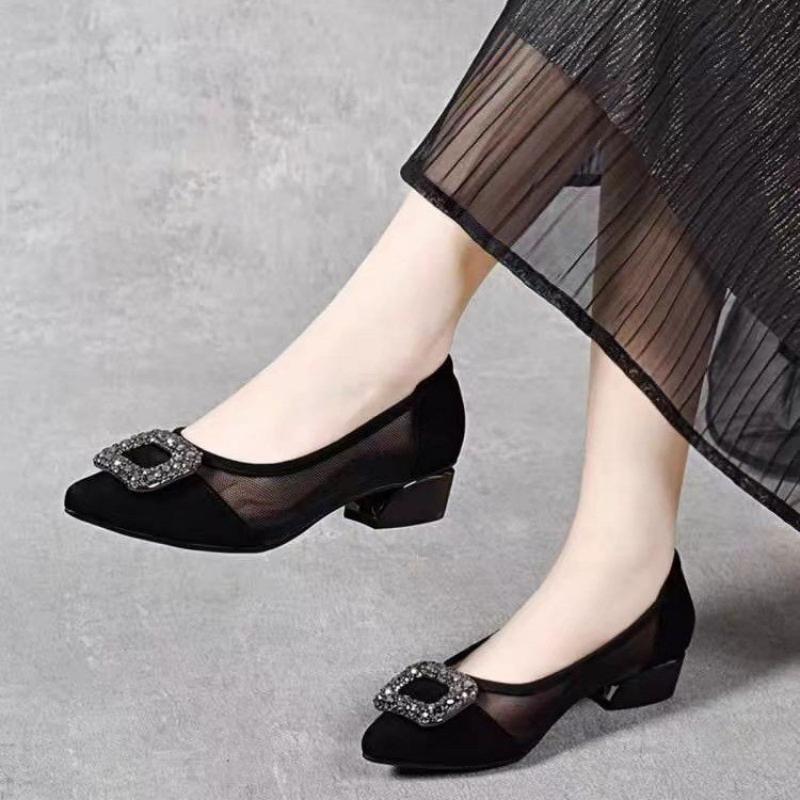 Women Shoes Size - Zarif Sivri Burunlu Fileli Blok Topuklu